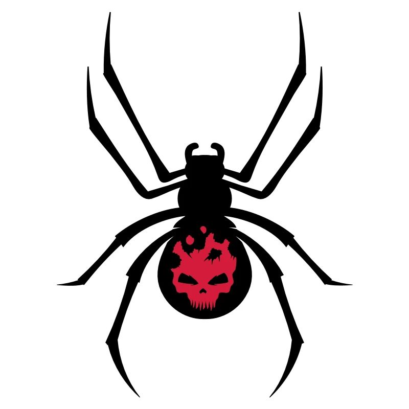 Une araignée noire avec le crâne rouge
