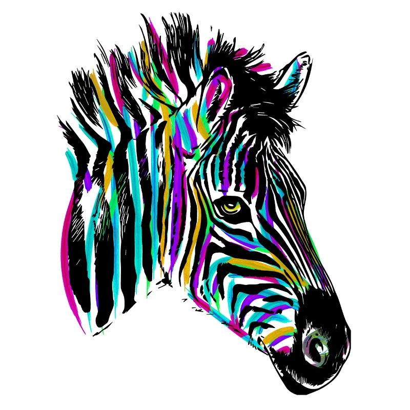 Buntes Zebra - Farbiges Zebra