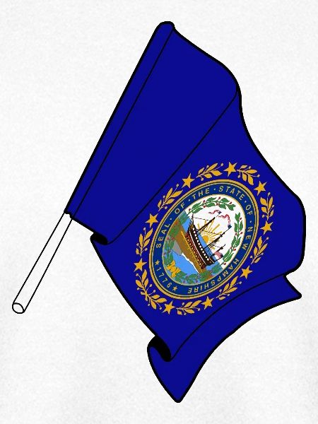 Flagge von New Hampshire