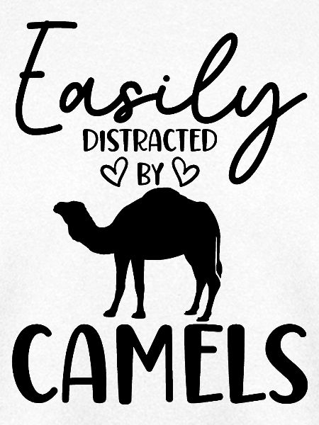 Kamel Ablenkung Humor