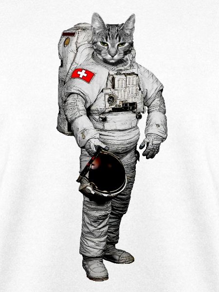Weltraum Katze