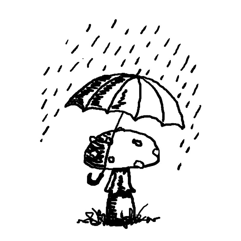 Pilze im Regen