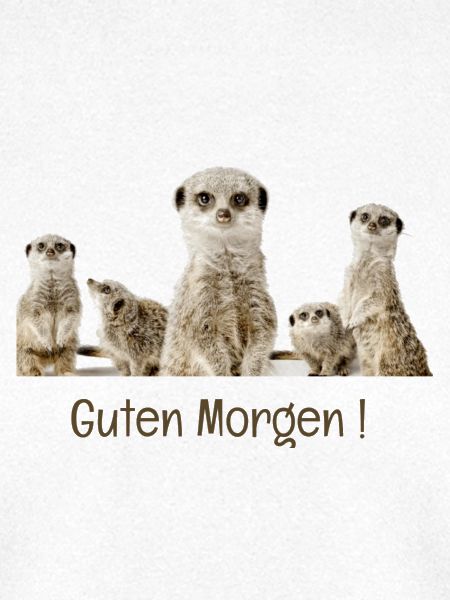 Guten Morgen