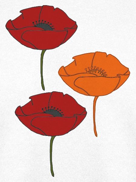 mohnblumen und orange