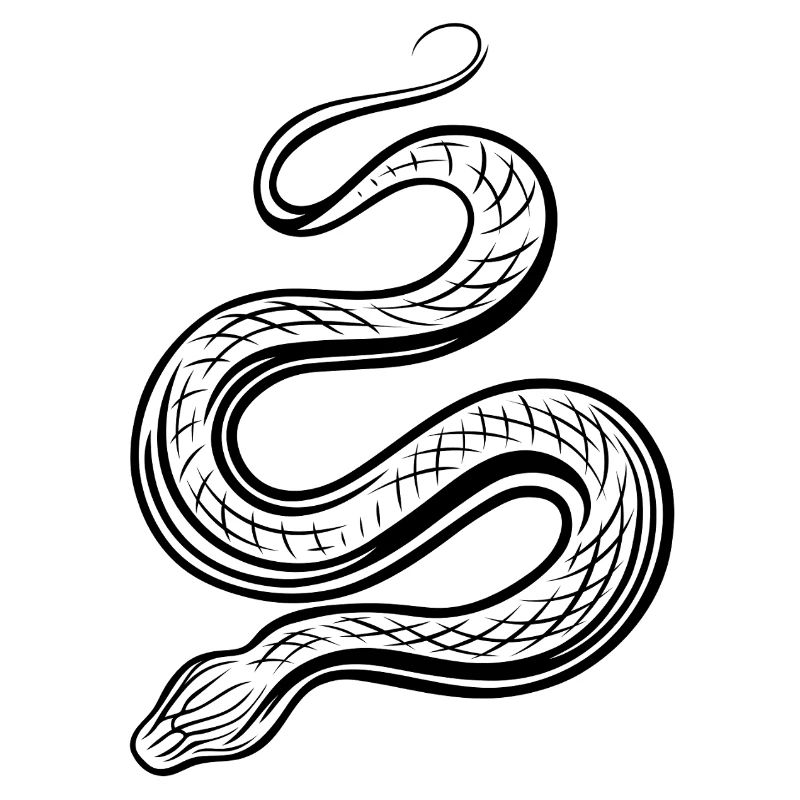 Serpent minimaliste à colorier soi-même