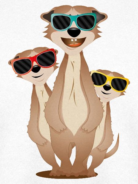 Coole Erdmännchen mit Sonnenbrille