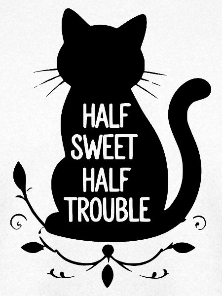 Chat noir mi-doux mi-trouble