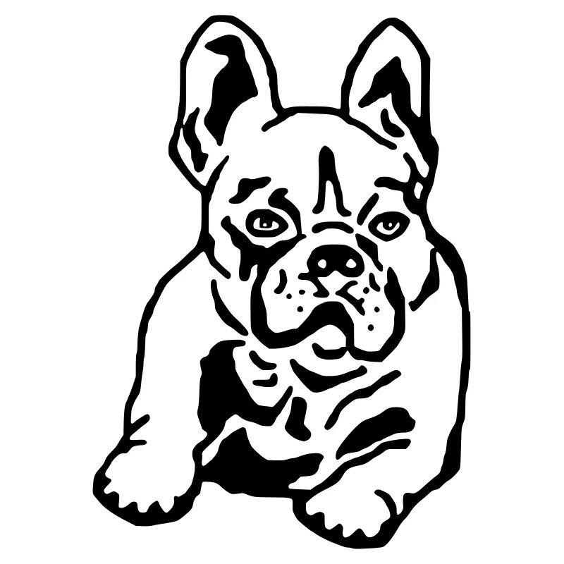 French Bulldog Bee