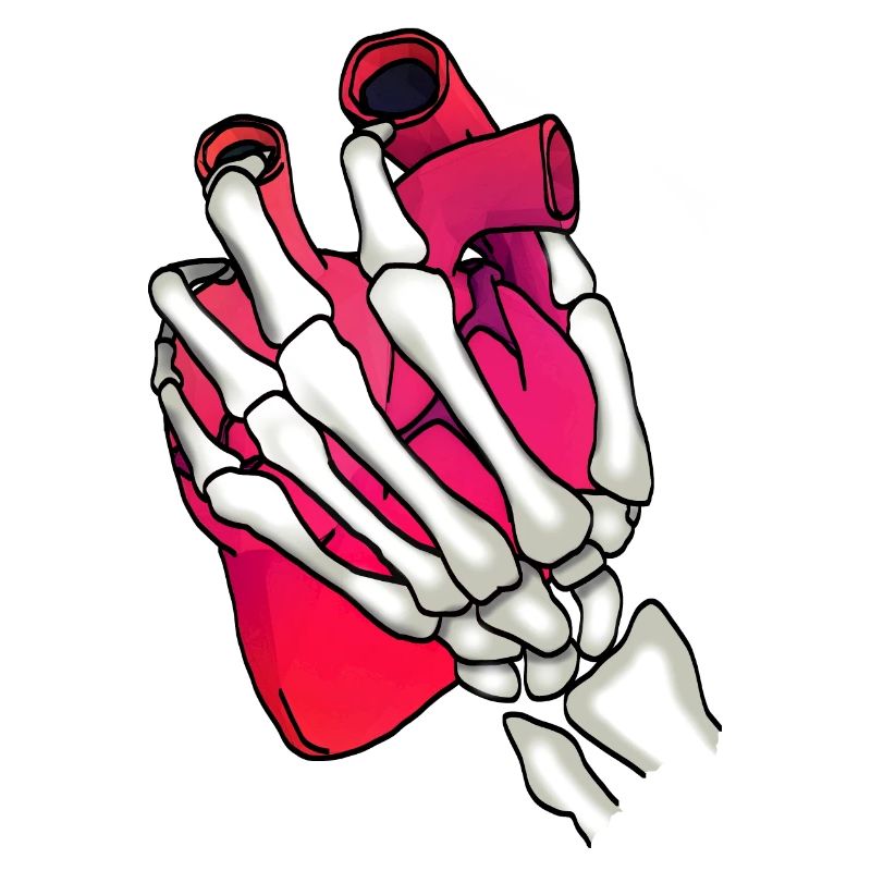 Herz in Skeletthand