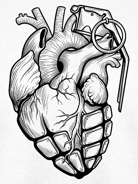 Anatomische grenade_coeur_