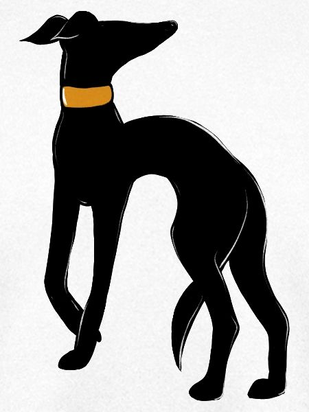 Midnight Hound Silhouette mit Halsband