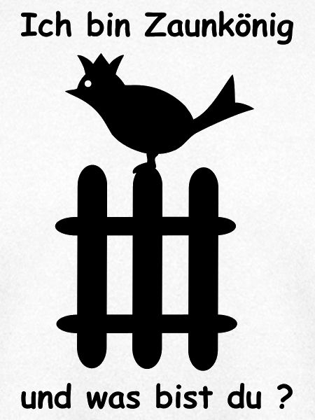 zaunkoenig vogel spruch
