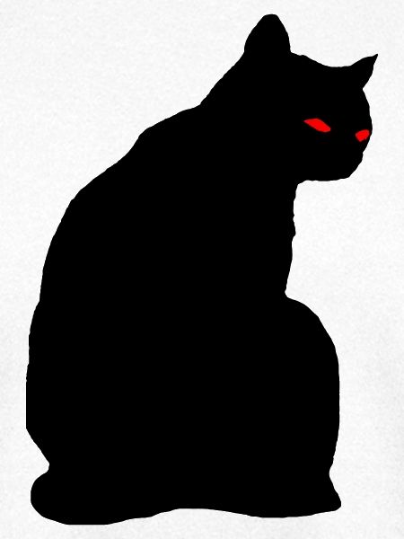 Schwarze Katze