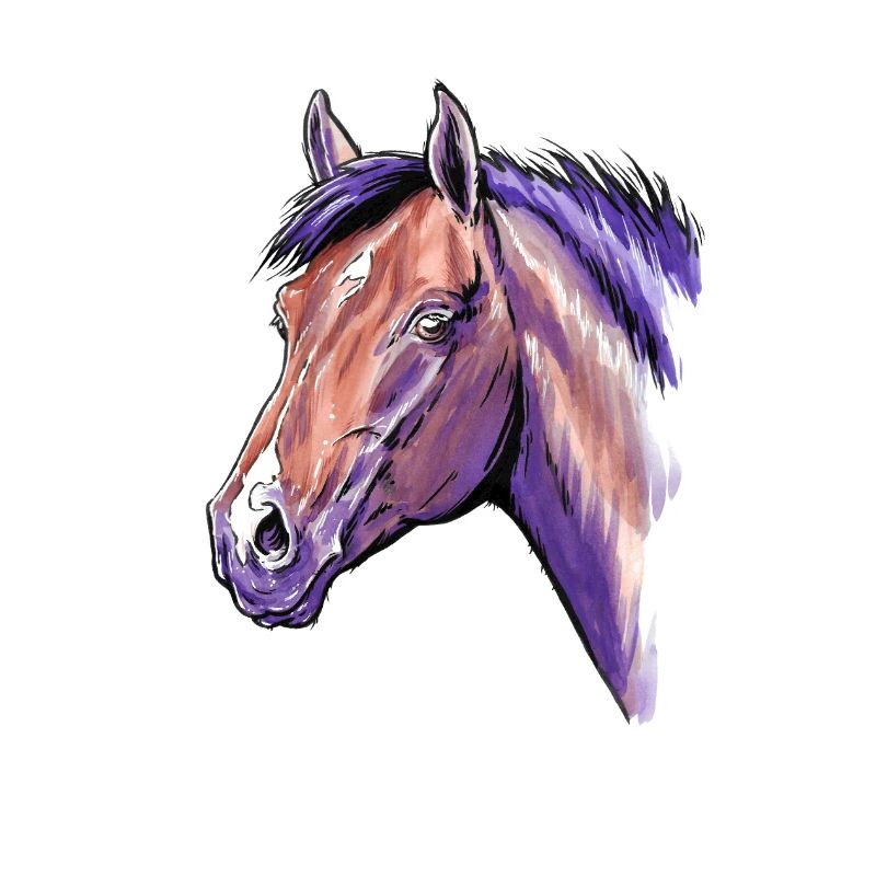 Pferd Portrait