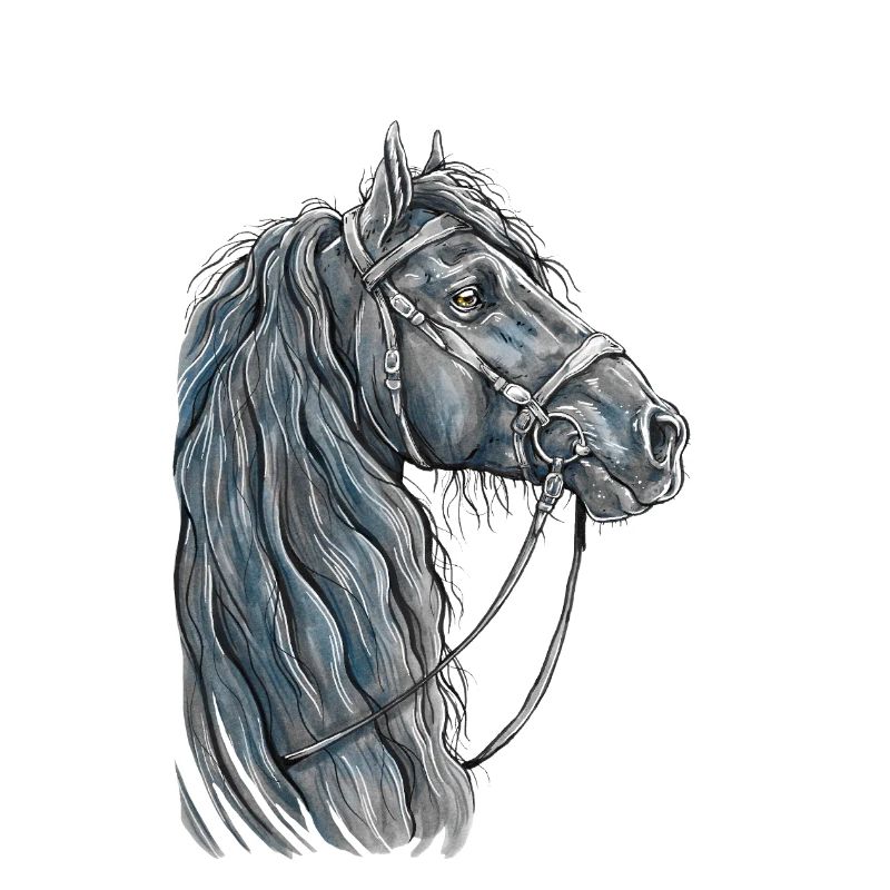 Pferd Portrait