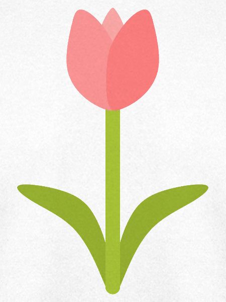 Tulpen-Silhouette in Blüte