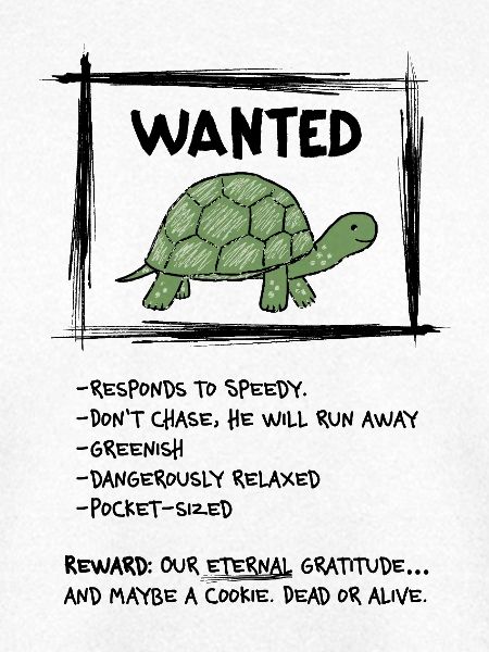 Wanted Schildkröte – Lustiges Tiermotiv