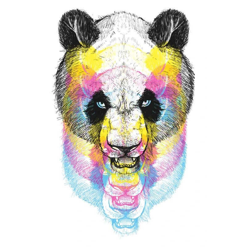 Panda Bear CMJN