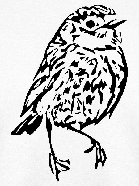 Vogel T-shirt Geschenkidee Weihnachten 