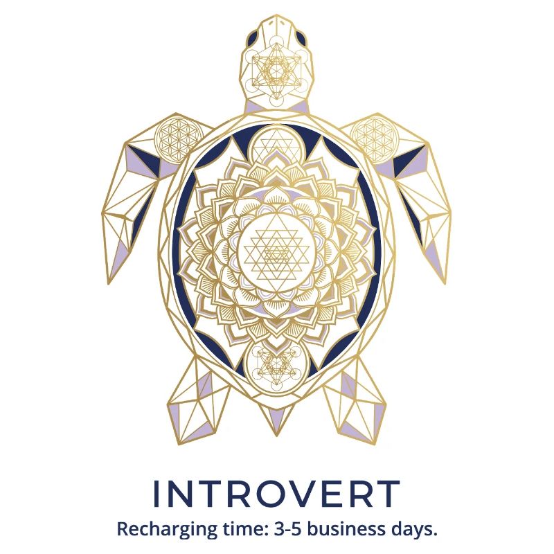 Geometric Turtle Mandala Introvert