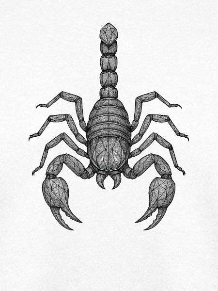 Geometrischer Skorpion Linienkunst