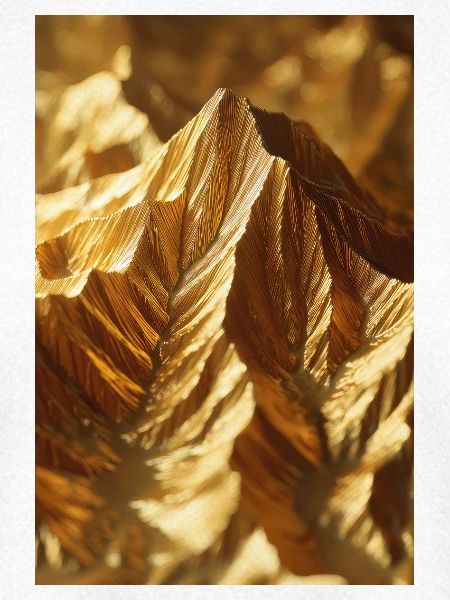 Golden Ridge Abstrakter Berg