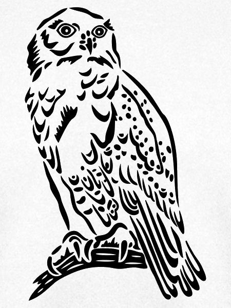 Schöne Schneeeule im Tattoo Style.