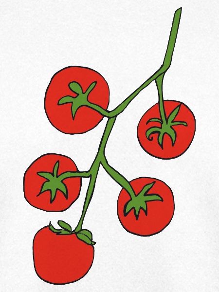 Tomatenranke Farbpalette Illustration