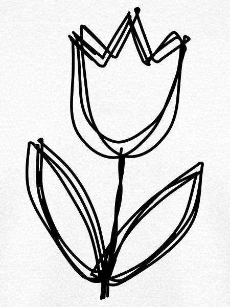 Tulpe handgezeichnet