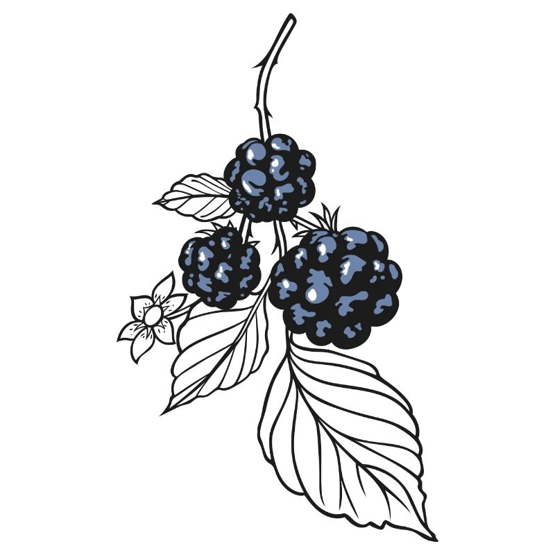 Brombeeren Herbst Sticker