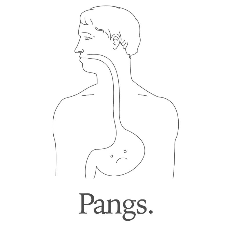 Pangs Anatomie Strichzeichnungen