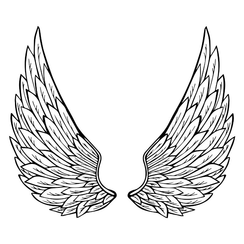 ailes d'anges