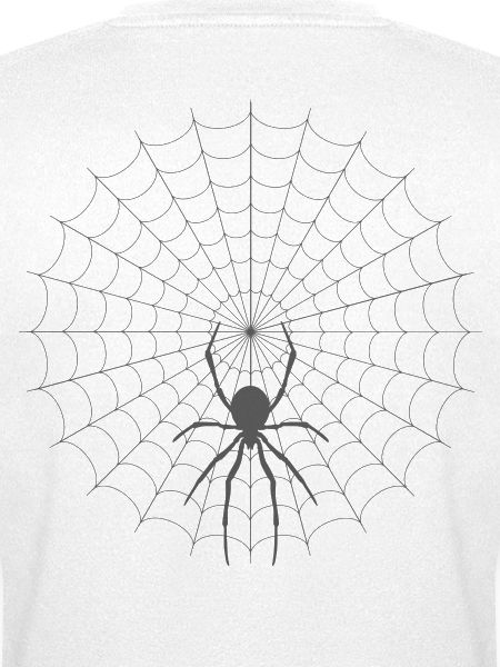 Silhouette de toile d’araignée