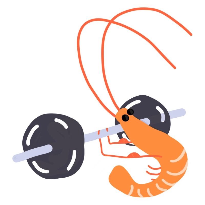 Crevette de sallle de musculation