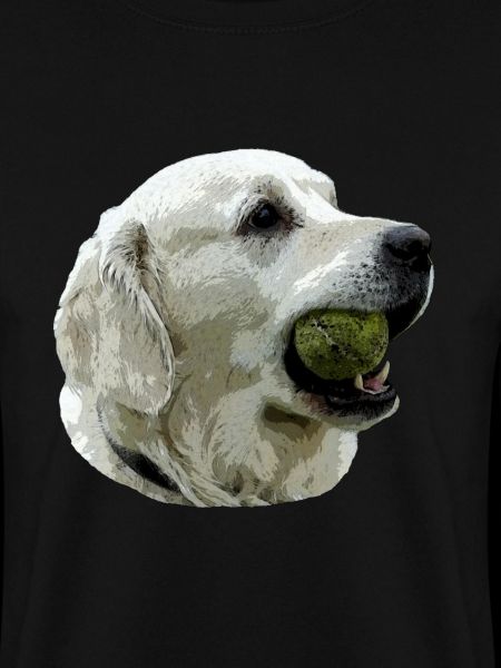 Labrador mit Ball