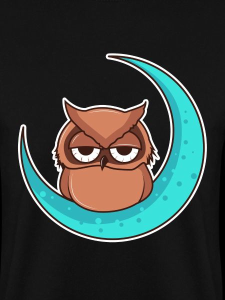 Kauz im Mond