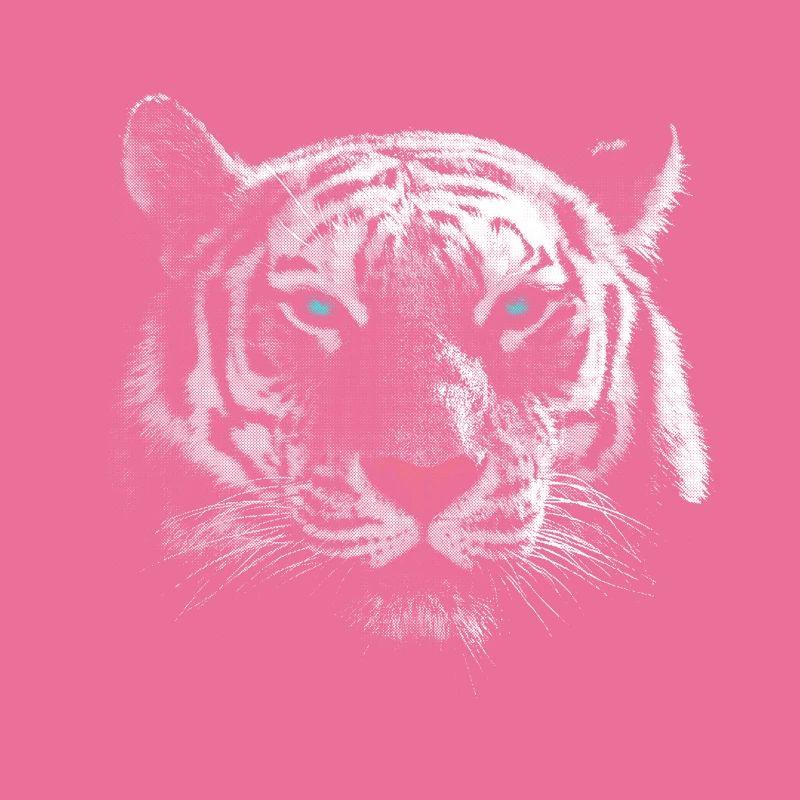 Weisser Tiger