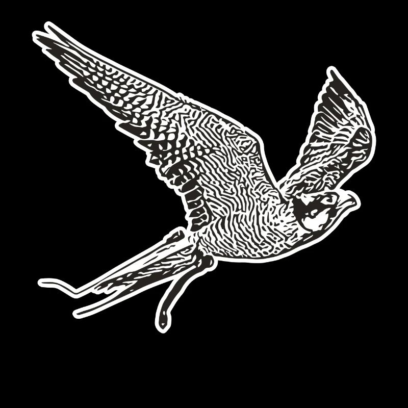 Falke im Flug