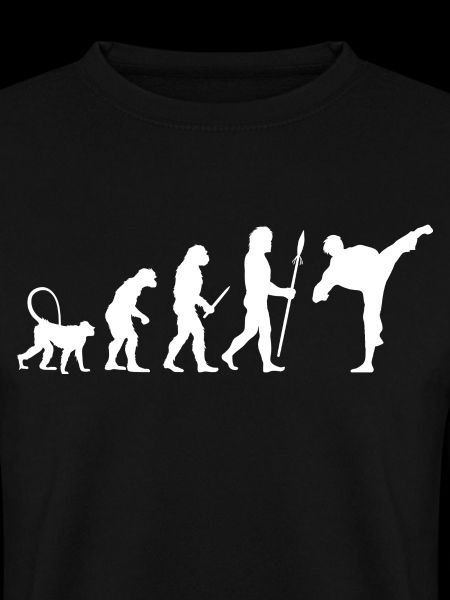 Karate Evolution