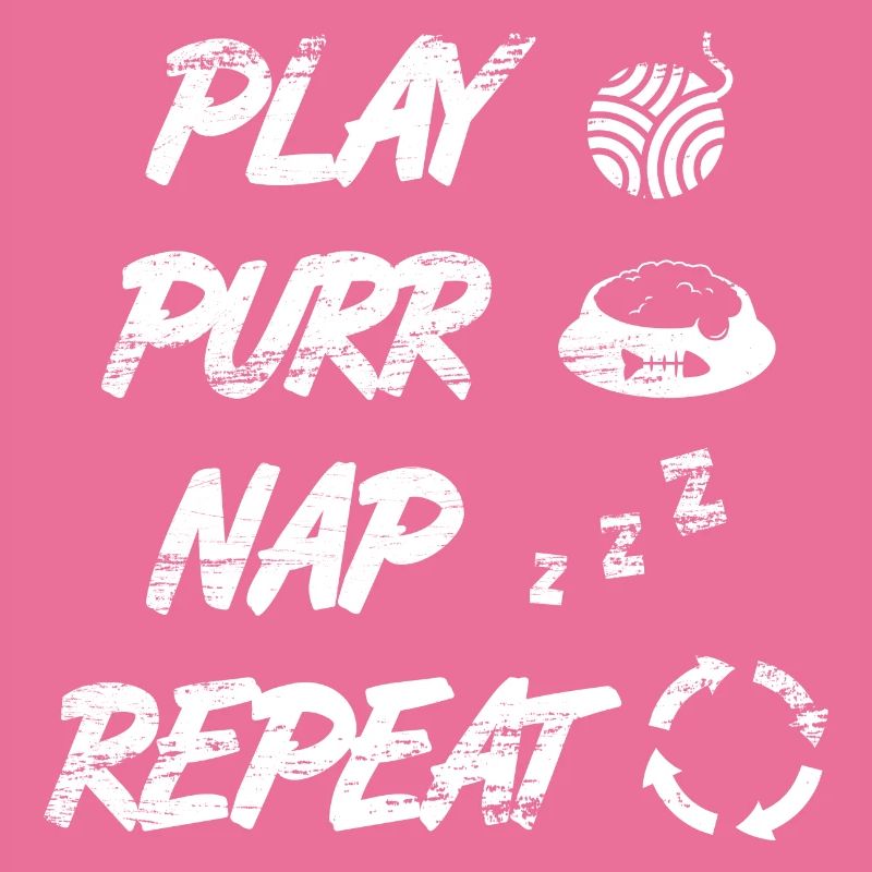 Routine quotidienne du chat