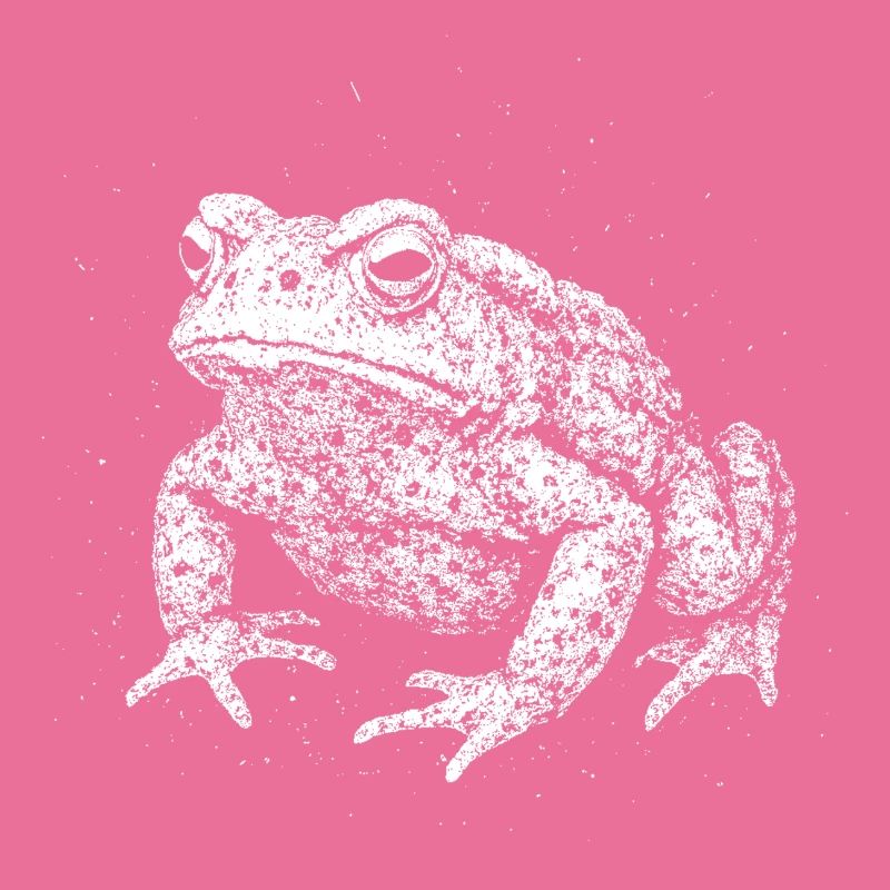 Crapaud