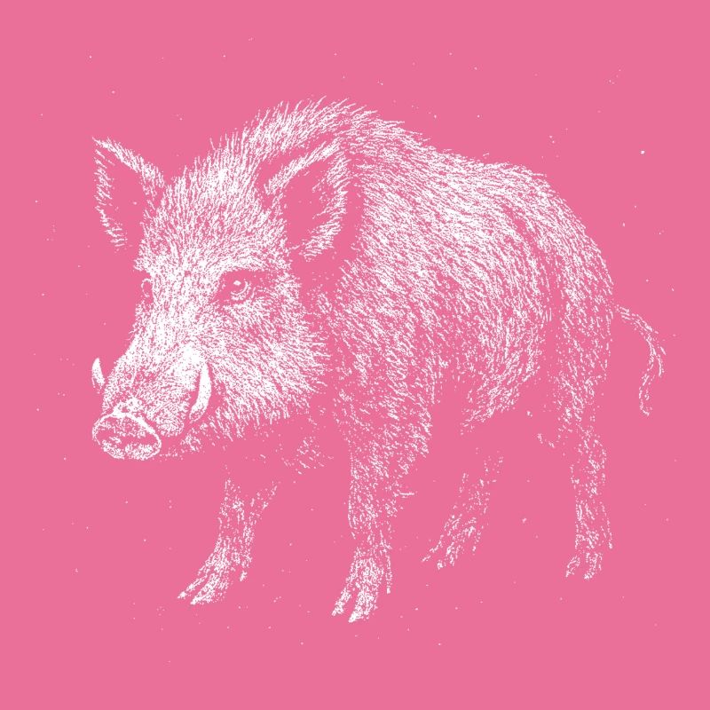 Wildschwein