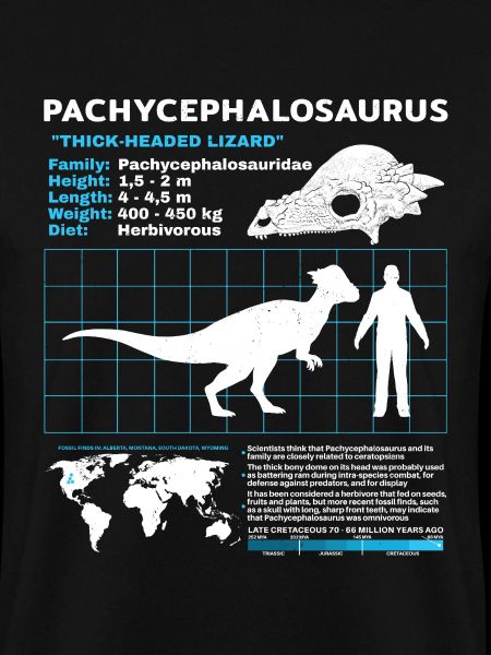 Pachycephalosaurus Fact Sheet