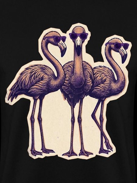 Flamingos Mit Sonnenbrille