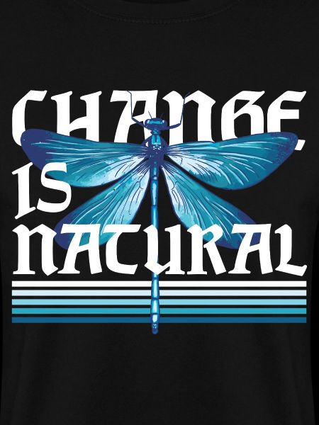 Dragonfly Dragonflies Change Is Natural
