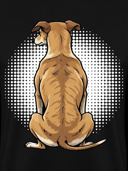 Whippet Windhund Whippets Windhundbesitzer