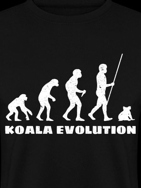Évolution du koala