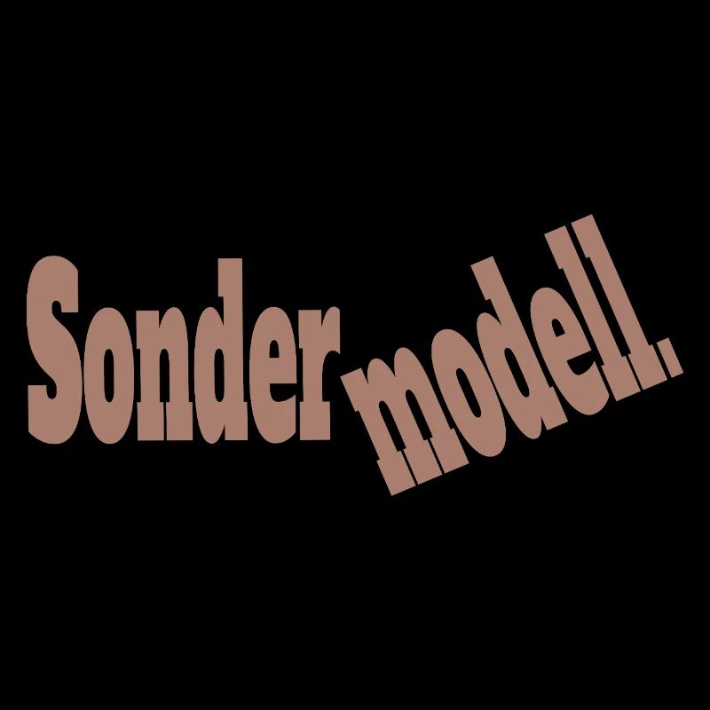 S O N D E R M O D E L L – Chaos mit System