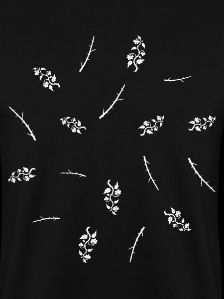 Dornenzweig & Beerenranke - Botanische Kunst