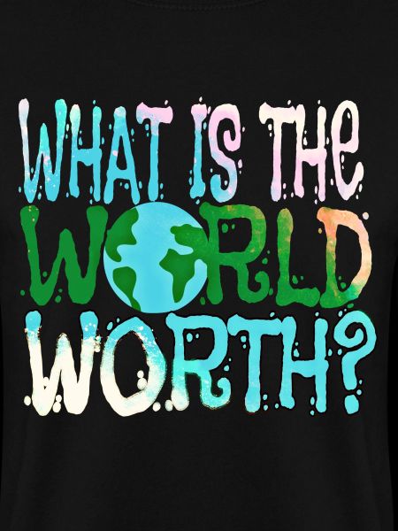 Was ist die Welt wert?